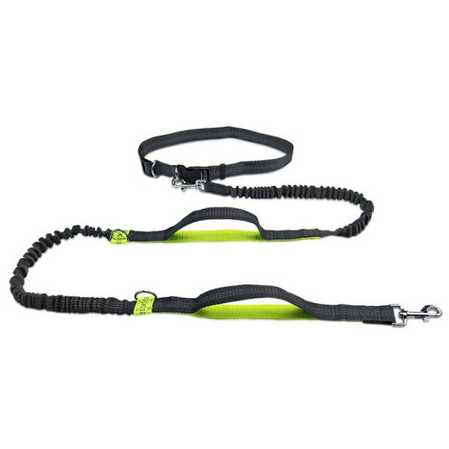 You and your dog will have the freedom to roam with the Reflective Jogging Leash. Wonderful for active dog owners that want to take their furry friend along for a run, this Reflective Jogging Leash offers full control while going totally hands-free. It uses a flexible bungee that works as a shock absorber, so you’ll stay on your feet even if your dog goes after a stray squirrel. 
