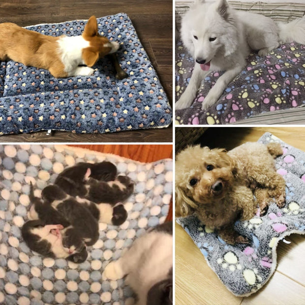 Give your pooch a snug place to wind down with the Extra Plush Pet Bed. This bed is excellent for catnaps and dogs who like to nap curled up too! It’s two-sided with cozy, breathable fabric on one side and cloud-plush on the other side when you need extra warmth and softness