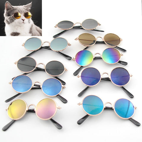 Keep your cat looking cool and shielded with the stylish Cat Round Sunglasses. These sunglasses are so hot that they will make your furry companion look cool! So super fashionable you might just want to keep them for yourself. They are the essential accessory for every fashionable cat! 