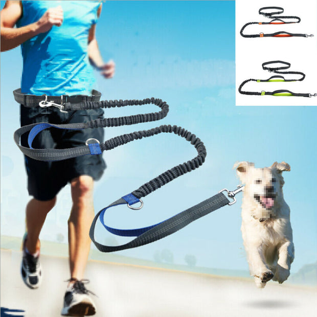 You and your dog will have the freedom to roam with the Reflective Jogging Leash. Wonderful for active dog owners that want to take their furry friend along for a run, this Reflective Jogging Leash offers full control while going totally hands-free. It uses a flexible bungee that works as a shock absorber, so you’ll stay on your feet even if your dog goes after a stray squirrel. 
