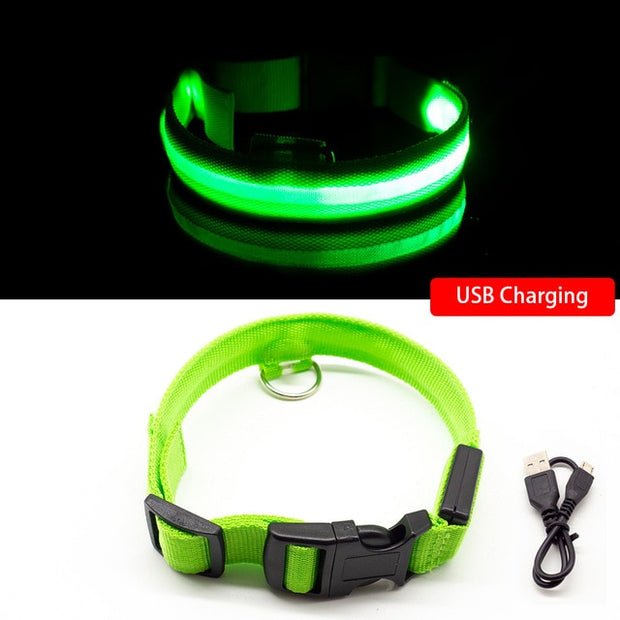 Help keep your adventuresome pup visible during your early morning or nighttime walks with the LED Light Dog Collar! This active, lightweight accessory can keep your furry friend visible and stays lit for hours when fully charged. It’s crafted from a durable, yet soft nylon material and has a protected USB charging port and a padded handle for added comfort. 
