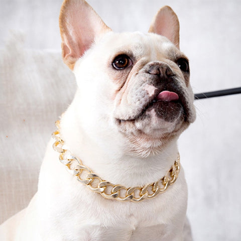 Your furry companion needs a Pet Necklace Novelty Collar to match their style. Dress it up or pair with our Dog Costumes for a complete look. Perfect for family photos, your pet will steal the show!  Pair it with our Cat Round Sunglasses to complete the look.