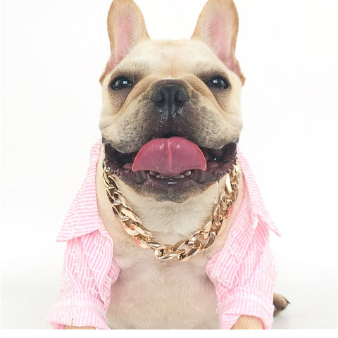 Your furry companion needs a Pet Necklace Novelty Collar to match their style. Dress it up or pair with our Dog Costumes for a complete look. Perfect for family photos, your pet will steal the show!  Pair it with our Cat Round Sunglasses to complete the look.