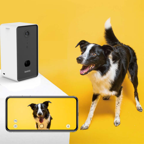 Feed your furry friend even when you are not home with the Pet Camera Treat Dispenser.  This feeder serves accurate portions and has a patented jam-free dispensing mechanism. The convenient app available for both Apple and Android allows you to take photos or video, talk to your pet through our two-way speaker and reward them with their favorite treat. Pet Camera Treat Dispenser has an HD camera with night vision to keep an eye on your companion day or night.  