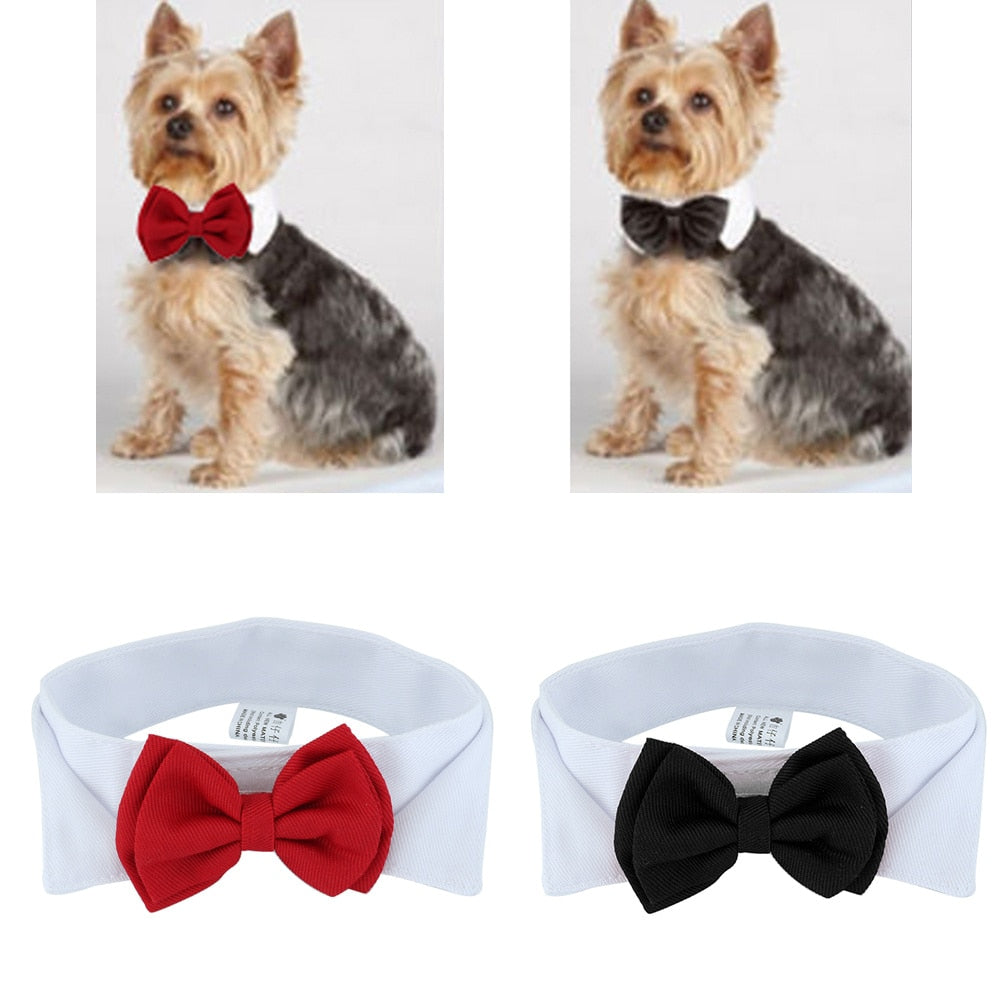 Ideal formal fashionable accessory for your dog or cat. Get your pet friend ready to make a fashion statement with the Bow Tie Pet Collar. Whether your pet wants to don a bow tie, this fashion-forward tie is the perfect option for him. It is for use when you include your pet in weddings, formal events, holidays, and family photography sessions. This bow tie goes on your pal’s neck and stay secure with a hook-and-loop fastener for that polished look.