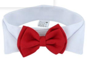 Ideal formal fashionable accessory for your dog or cat. Get your pet friend ready to make a fashion statement with the Bow Tie Pet Collar. Whether your pet wants to don a bow tie, this fashion-forward tie is the perfect option for him. It is for use when you include your pet in weddings, formal events, holidays, and family photography sessions. This bow tie goes on your pal’s neck and stay secure with a hook-and-loop fastener for that polished look.